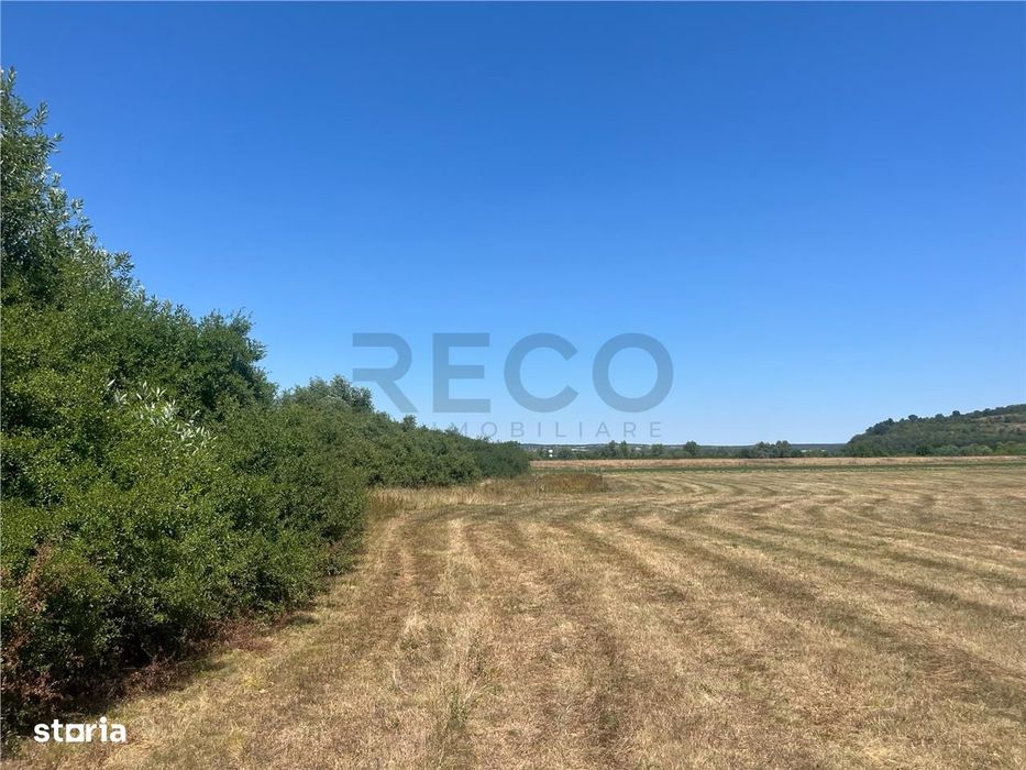 RECO Teren extravilan Holod 27400 mp
