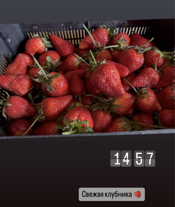 Клубника в шоколаде боксы