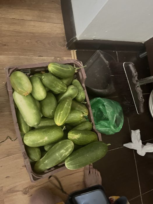 Огурцы домашние натуральные