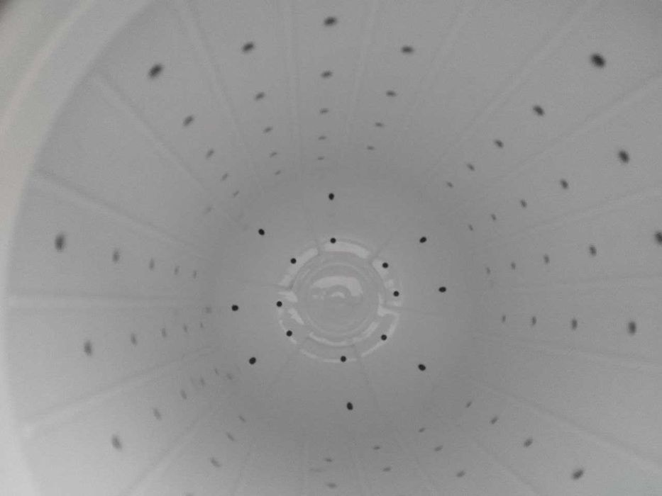 Стиральная машинка Артель TE60LC Полуавтомат 6 кг.