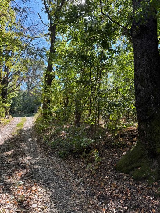 Teren intravilan înconjurat de pădure – Vârfurile, Prahova