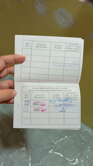 Продается породистый кот