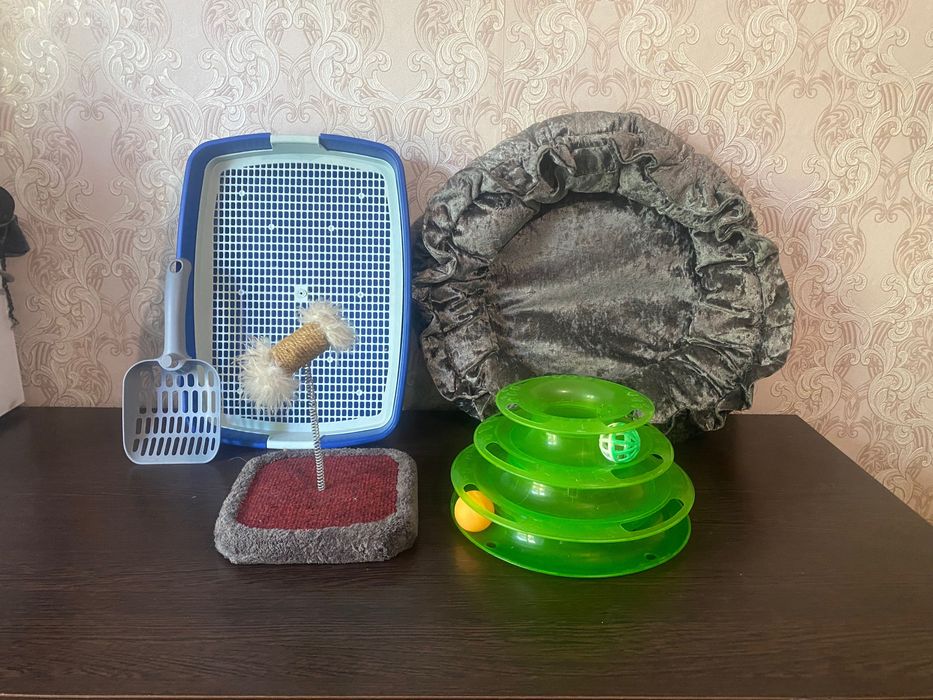 Игрушки для кошек туалет лоток кошки лежанка лопатка