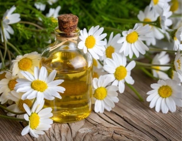 Ceai de mușețel vrac