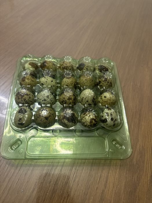 Продам перепелиные яйца