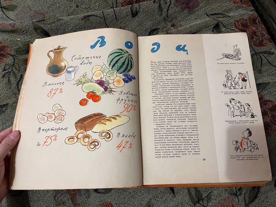 Питание школьника, книга 1959 год