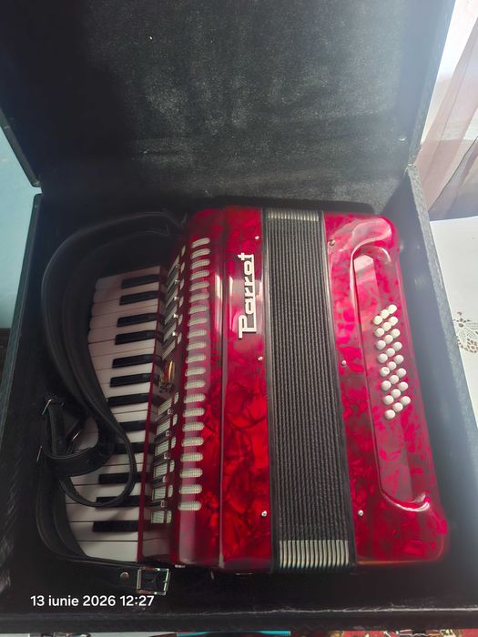 Acordeon parrot de vânzare