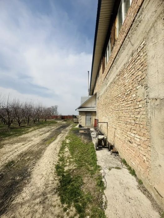 Яблоневый сад...