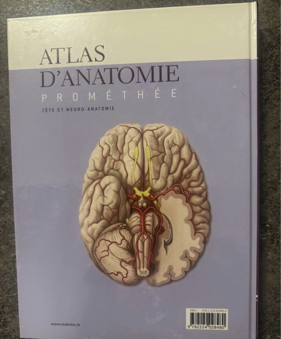 Atlase medicina