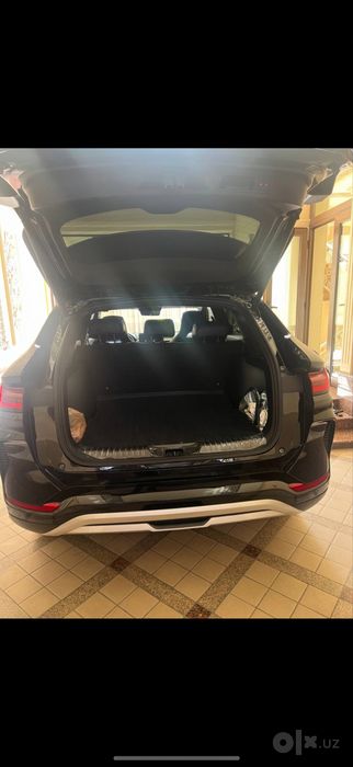 Byd chempion gibrit
