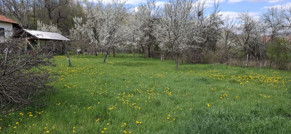 Casa bătrânescă de vânzare în Boteni, Arges
