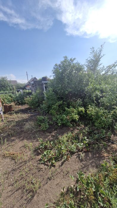 продам дачу в садоводстве Северный