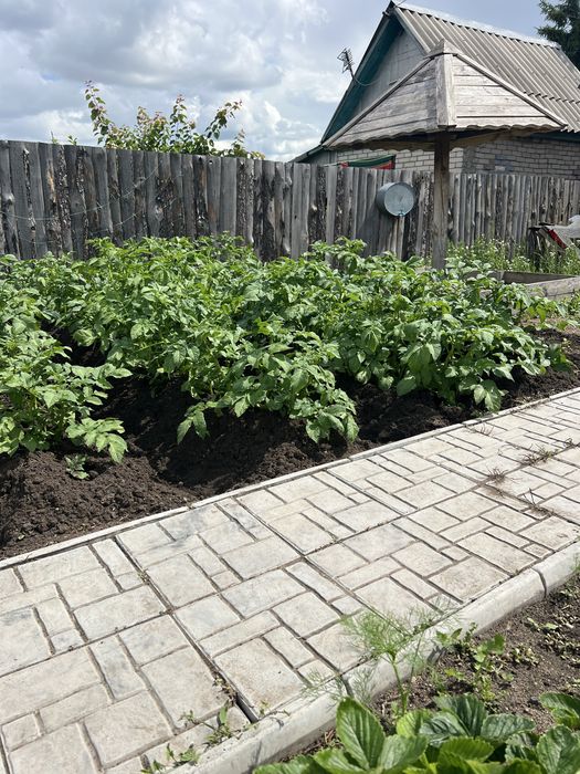 Продам дачу СО Колос!
