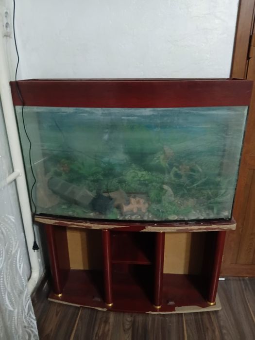 Сатлады барлық заттр