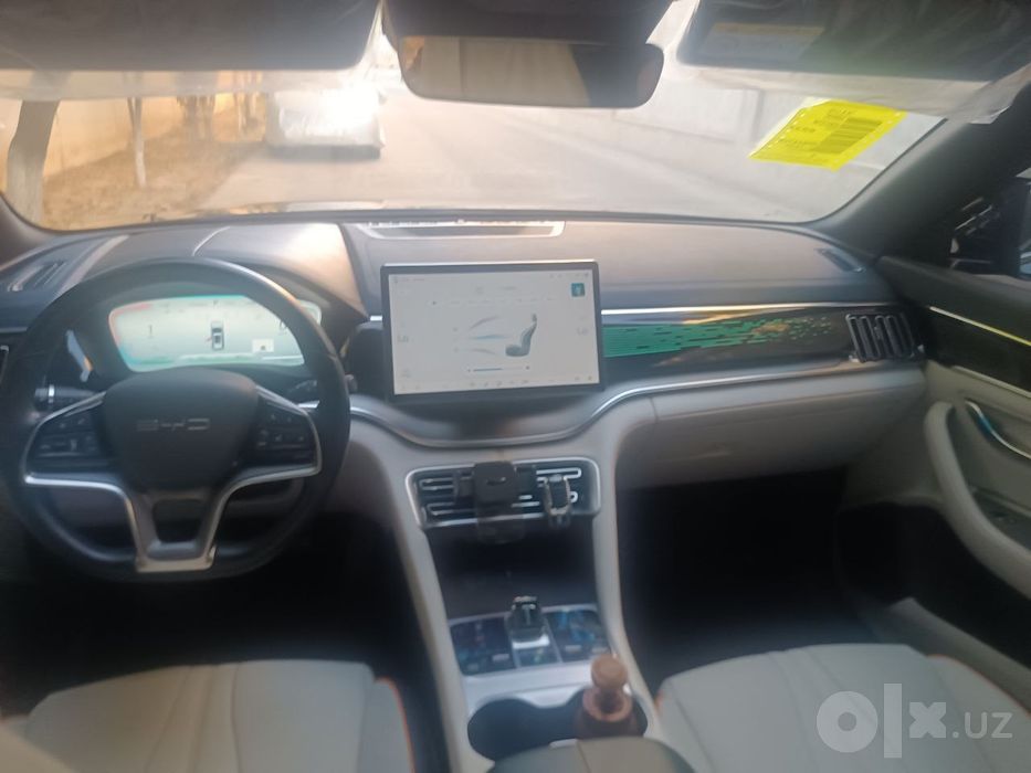 Byd champion ev 550 km