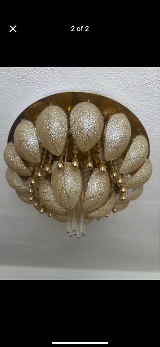 Музикален полилей, златист