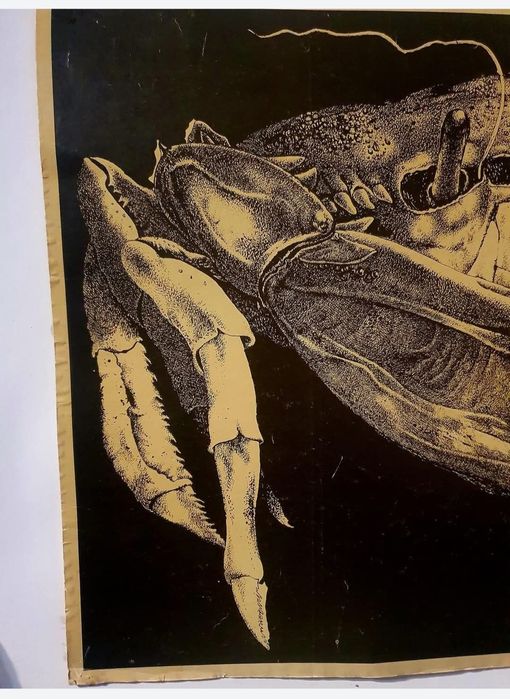 O lucrare rară de grafica semnată Nicolae Saftoiu, martie 1980. Tulcea