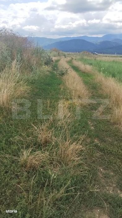 Teren de vanzare, pozitie excelenta, pentru investitie, in Cristian