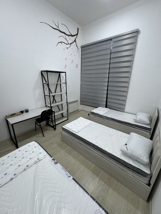 Hostel/Hotel/kunlik hostel/arzon mehmonxona