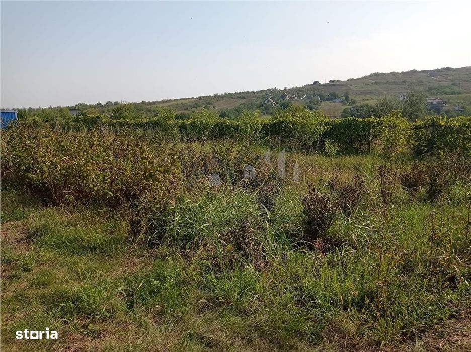 Intravilan - Tomesti - Teren si Cabana din Lemn