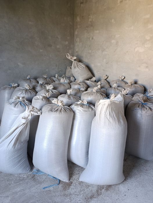 Ukrop urugʻi enabosh