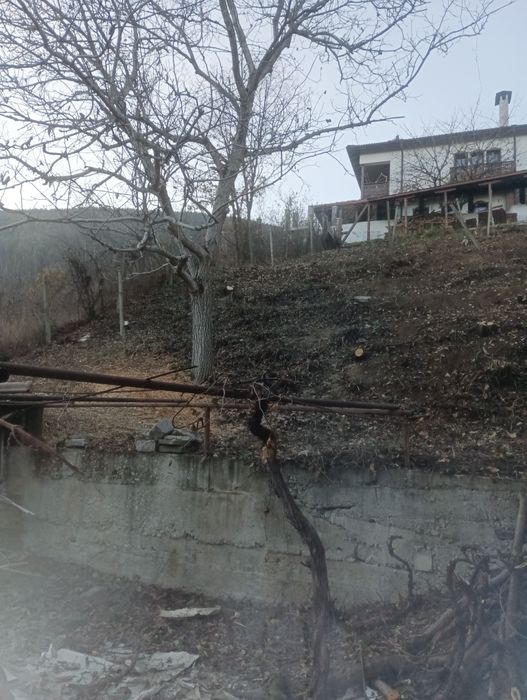 Почистване на запустели парцели и имоти