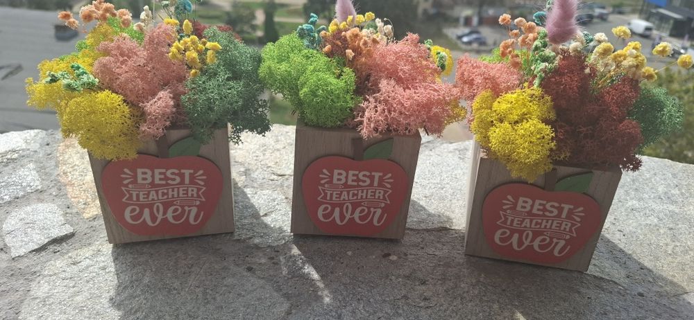 За най- добрия учител