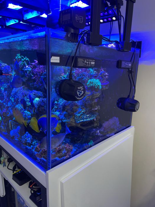 Морской аквариум на 1000 литров