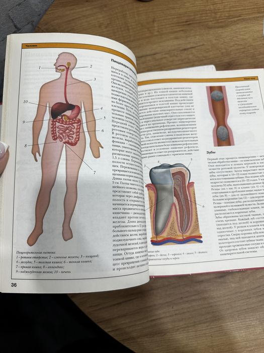 Продается детская энциклопедия