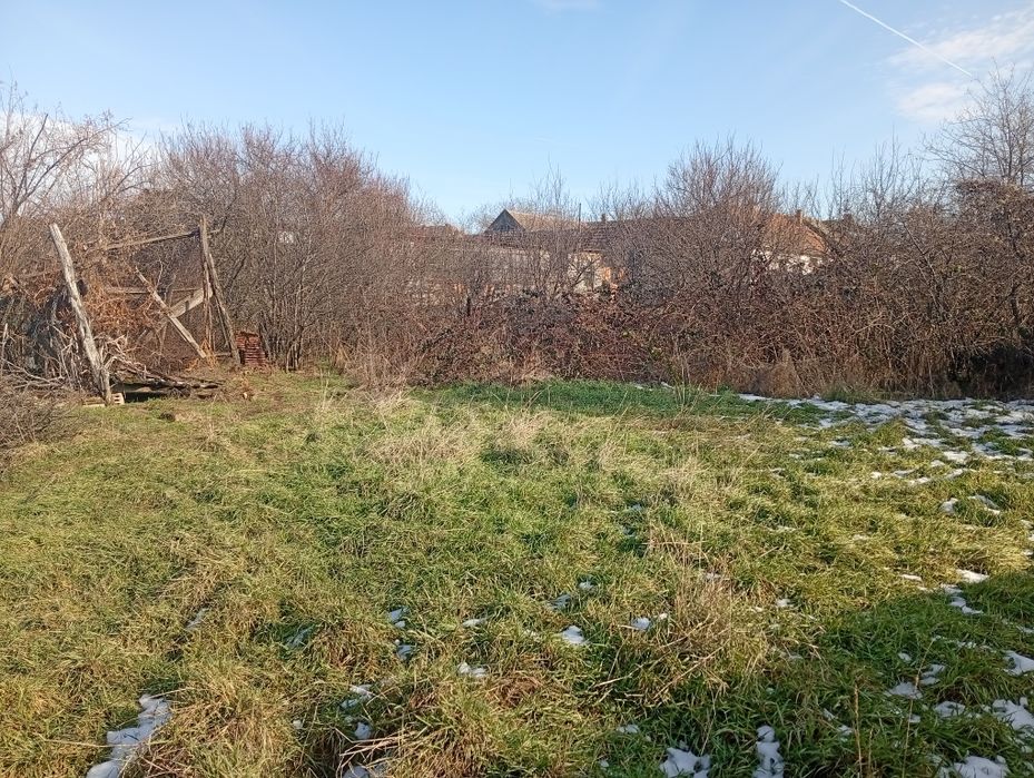 Vând casă în loc. Pecica