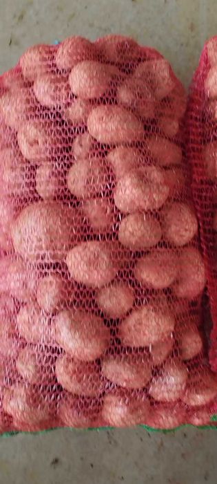 cartofi consum alb/rosu