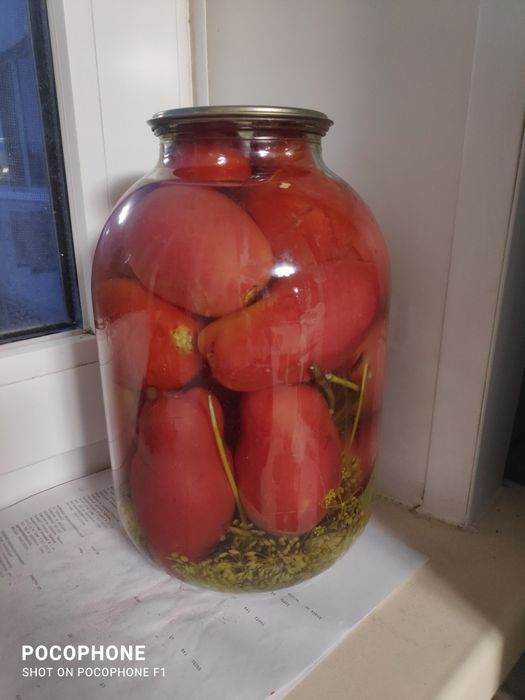 Помидоры соленые