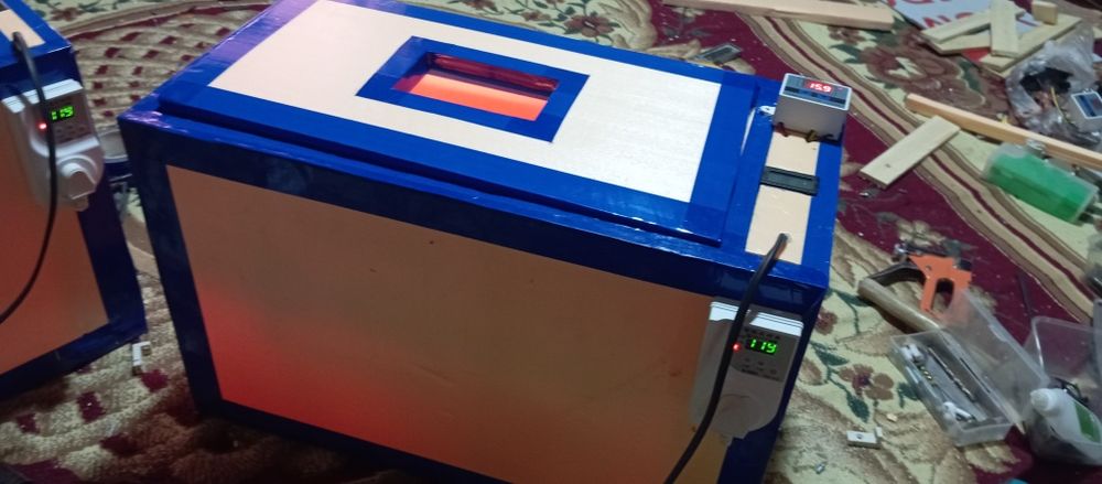 Inkubator inkubatir 50talik