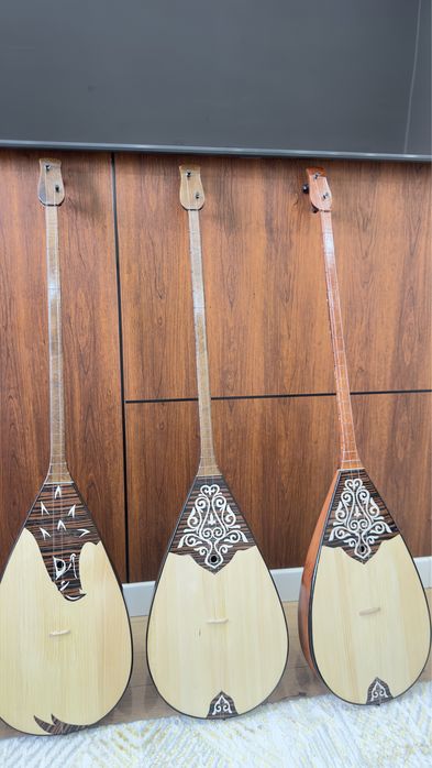 Домбыра чехолымен