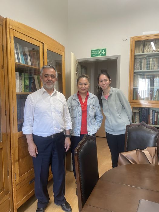 Cybex Накидка на ноги для коляски