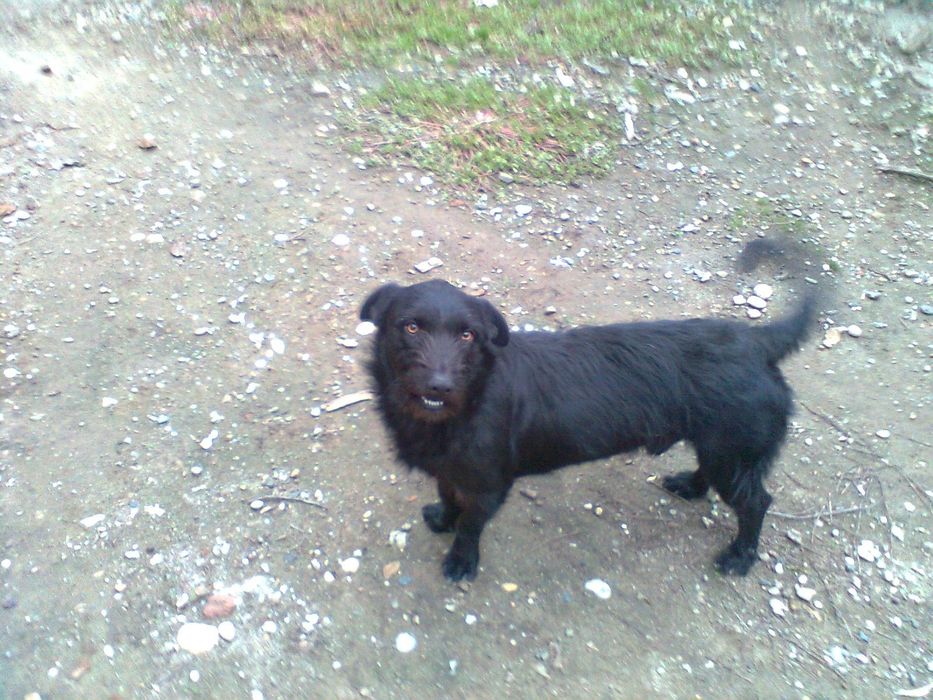 Donez catei teckell/brack