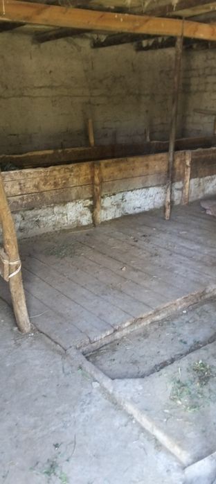 Срочно сатылады колбастауда евгенивка