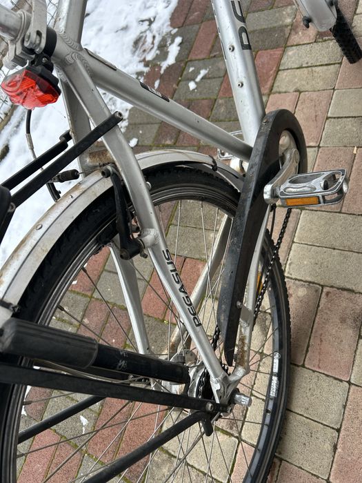 Bicicleta de oras Pegasus 7005!