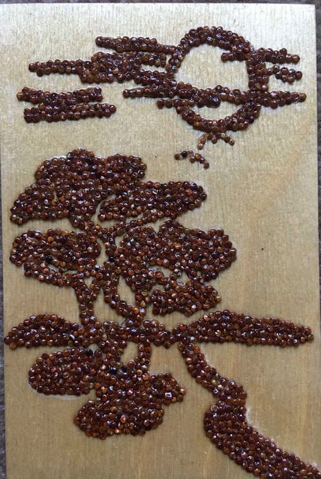 Картини от семена