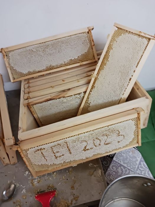 Miere 100% Naturala din Stupina Proprie Sibiu • Livrare la Domiciliu