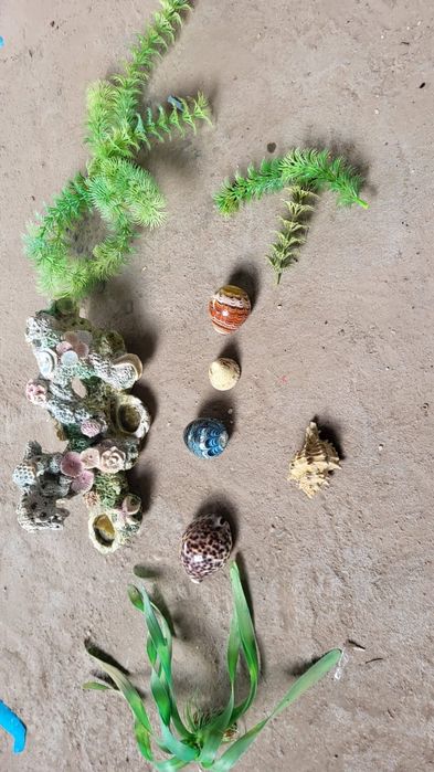 аквариум для рыбы