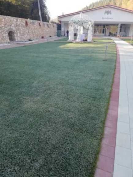 Gazon Verde Tot Anul – Echipa Noastră Asigură Montajul pe Loc