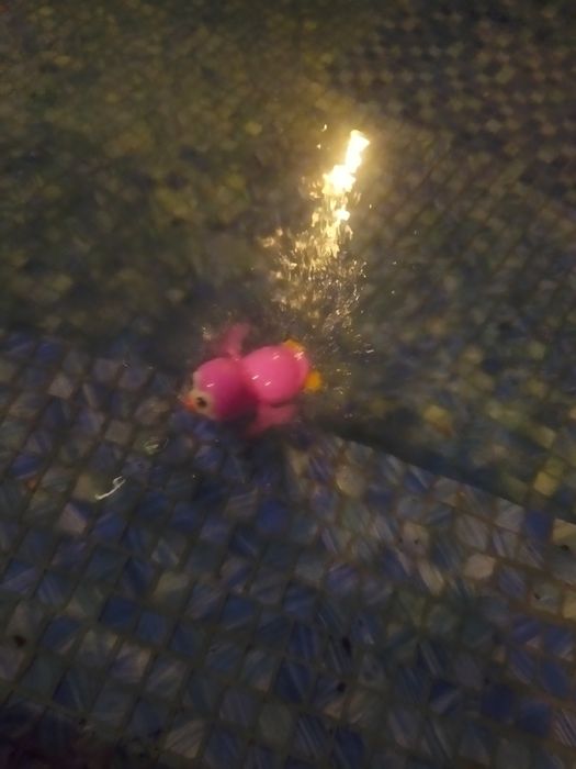 Заводная водяная игрушка пингвин