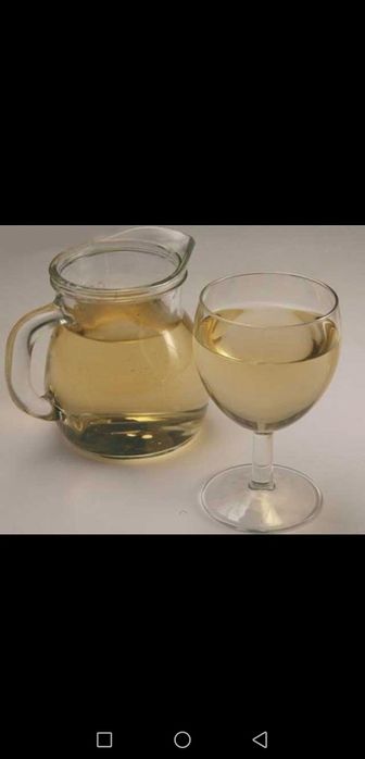 Винный гриб " Рислинг "