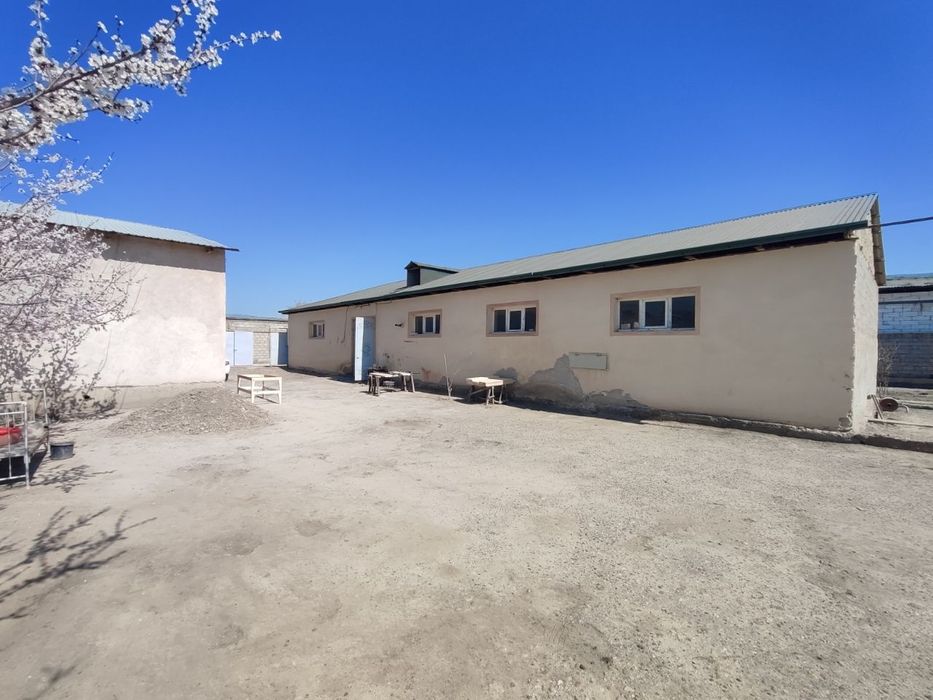 Kogon shaharda Mebel sex sotiladi