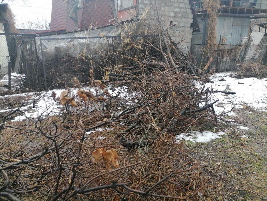 отдам дрова. Самовывоз