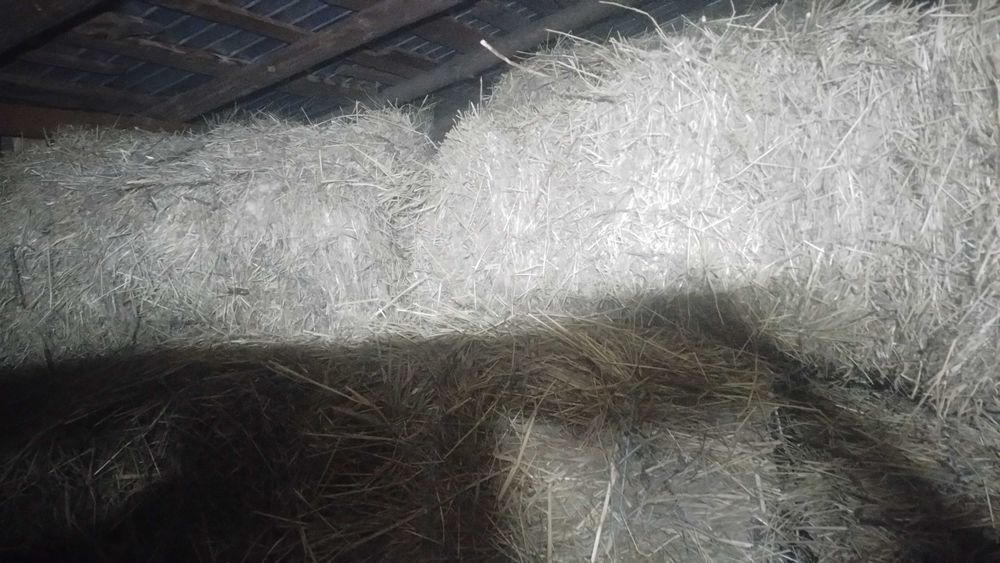 Baloti de fân de calitate bunā