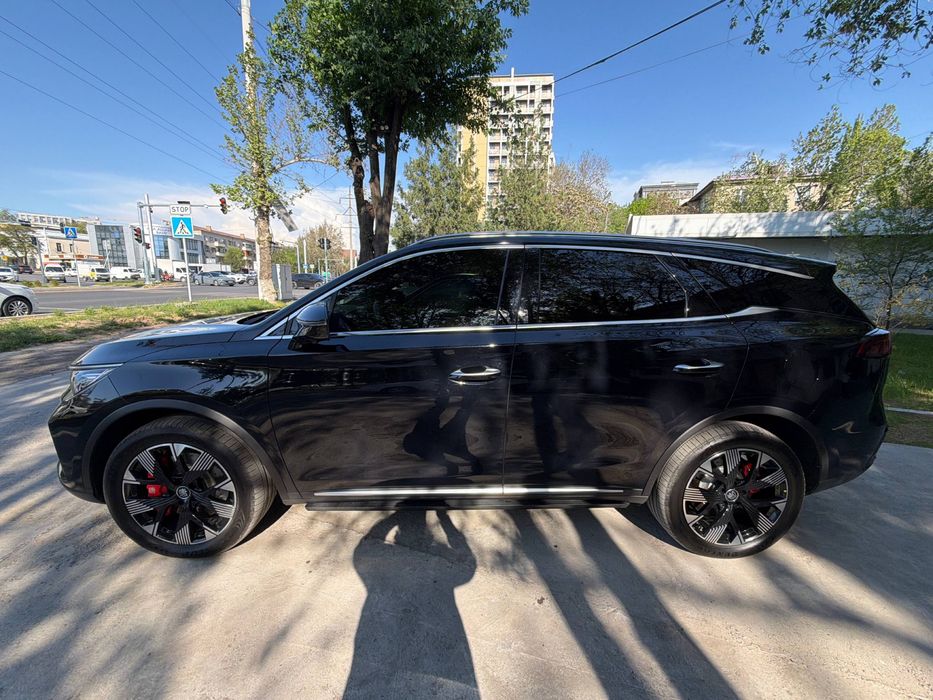 Byd Tang, 2024 restaling,