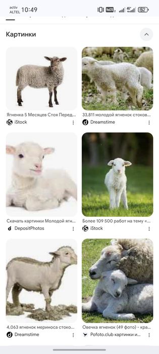 Кой аламын штугын 30мын срочно 2 шт керек