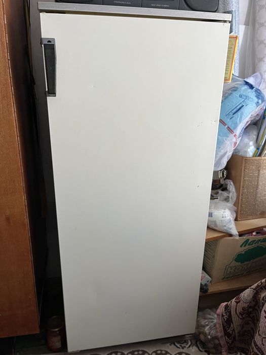 Холодильник Полюс-10